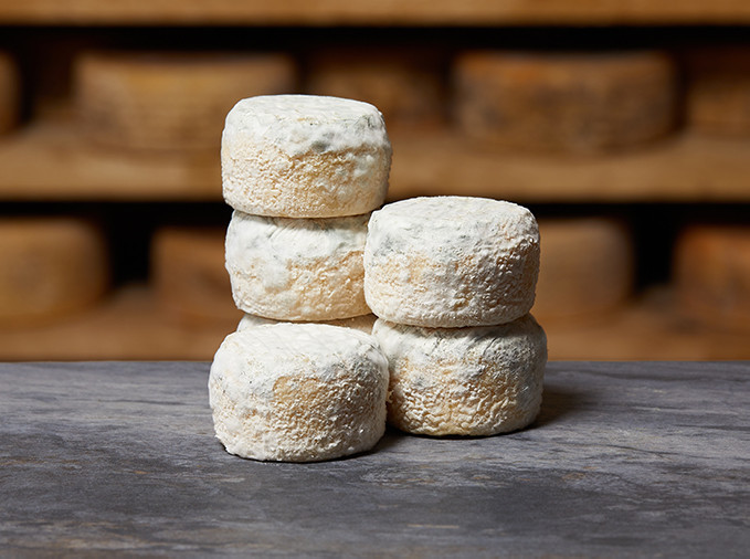 CROTTIN DE CHAVIGNOL | Mons Fromager Affineur MOF