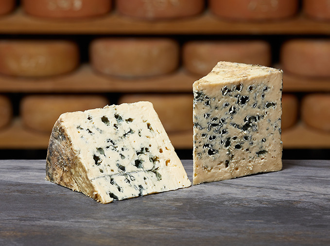 BLEU DES CAUSSES AOP | Mons Fromager Affineur MOF