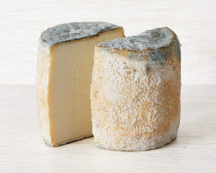 CHAROLAIS AOP | Mons Fromager Affineur MOF