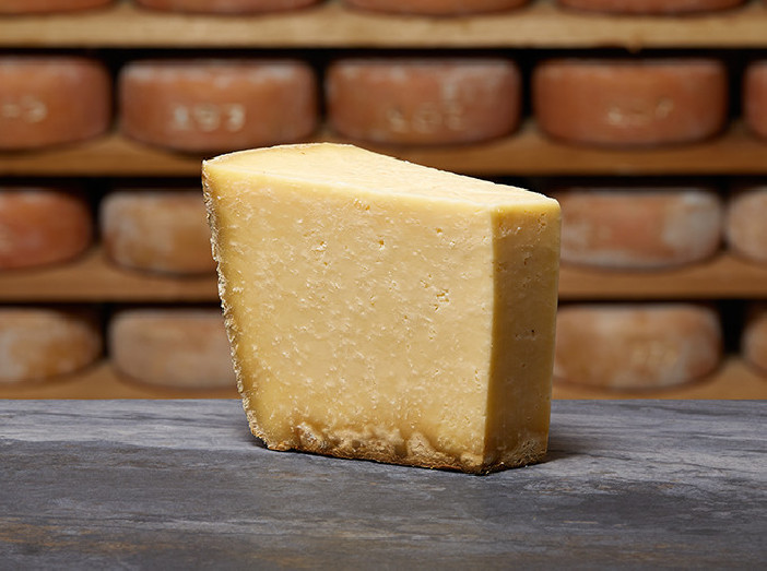 TRADITION SALERS AOP