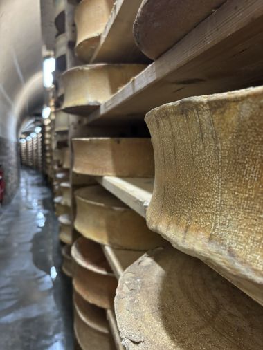 Visite du Tunnel de la Collonge