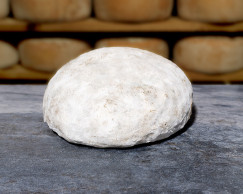 FOURME D'AMBERT