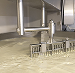Sélection de fromages de chèvre et brebis