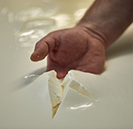 Sélection de fromages de chèvre et brebis