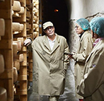 Sélection de fromages de chèvre et brebis