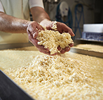Sélection de fromages de chèvre et brebis
