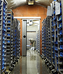 Maison Mons - Affinage des fromages