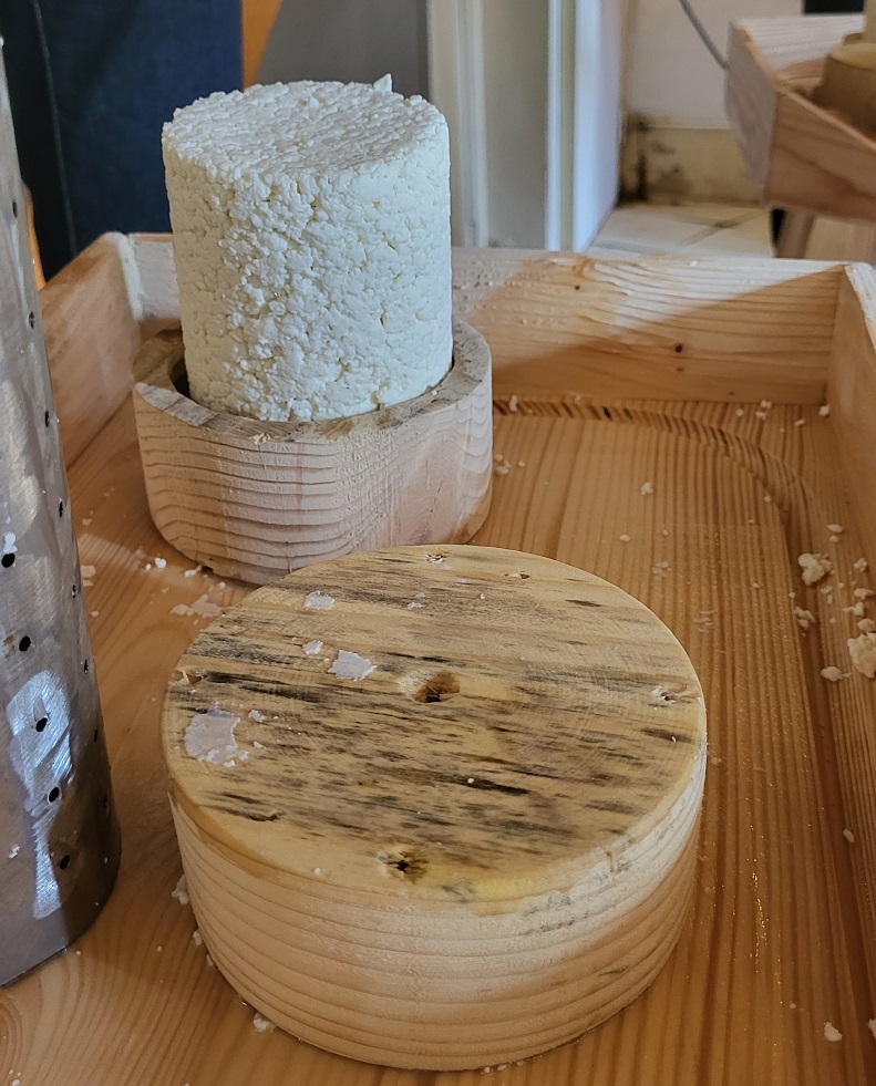 Sélection de fromages de chèvre et brebis
