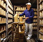 Processus d'affinage des fromages
