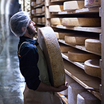 Sélection de fromages de chèvre et brebis