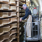 Processus d'affinage des fromages