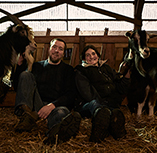 Processus d'affinage des fromages