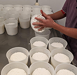 Processus d'affinage des fromages