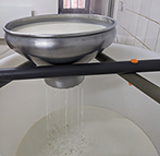 Processus d'affinage des fromages