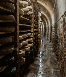 Maison Mons - Affinage des fromages
