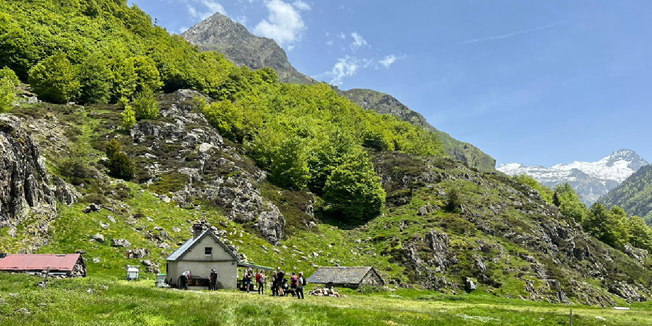 Transhumance Pyrénéene Transhumance Pyrénéene