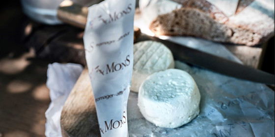 Le Castillon, fromage de brebis exceptionnel