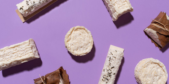 Les chèvres de Provence font leur retour